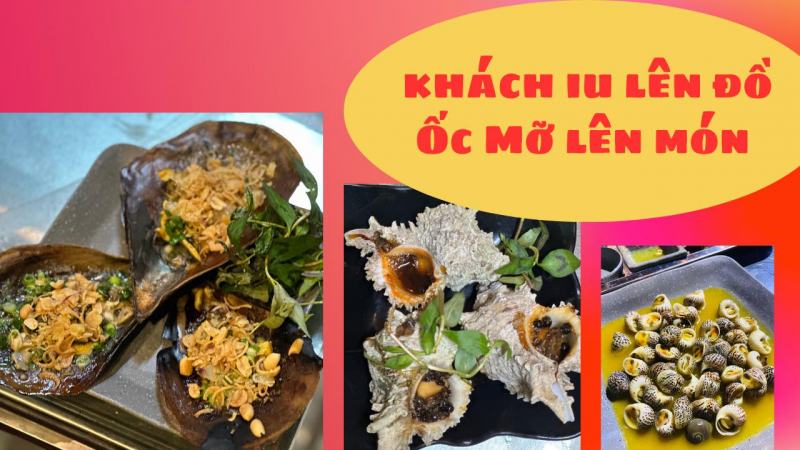 Ốc Mỡ