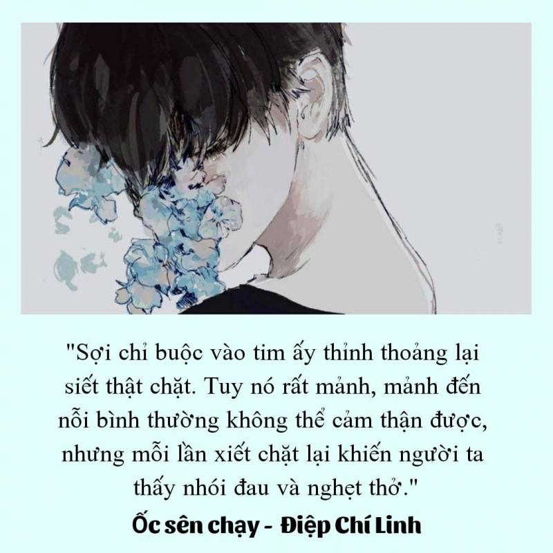 Ốc sên chạy