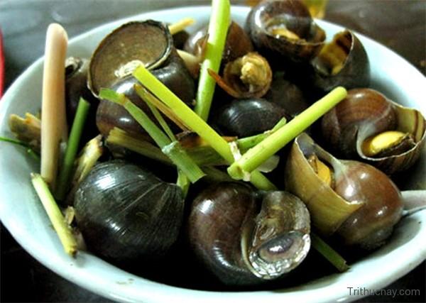 Ốc lác treo giàn bếp