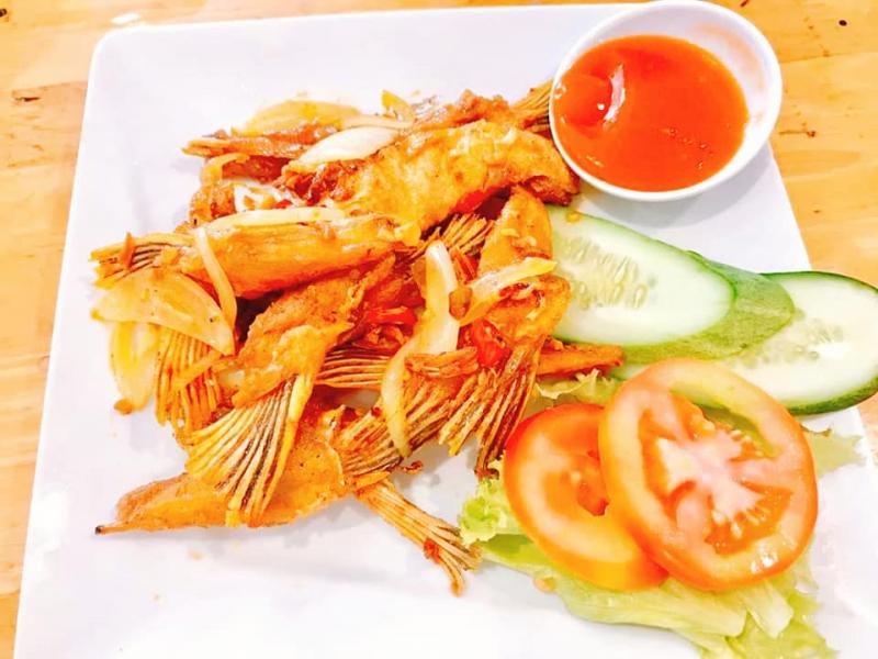Ốc Tự Nhiên