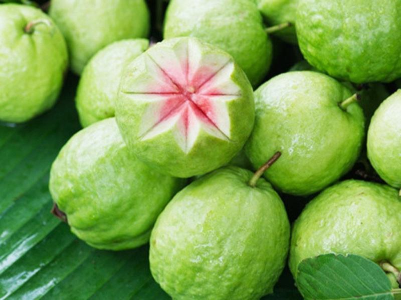 Ổi ruột đỏ có mùi thơ đăc trưng