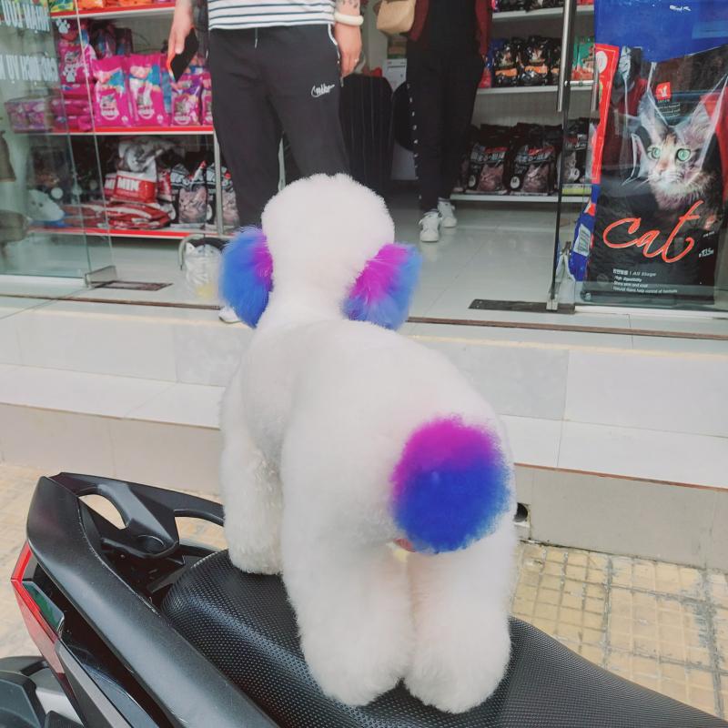 Omo Pets Spa