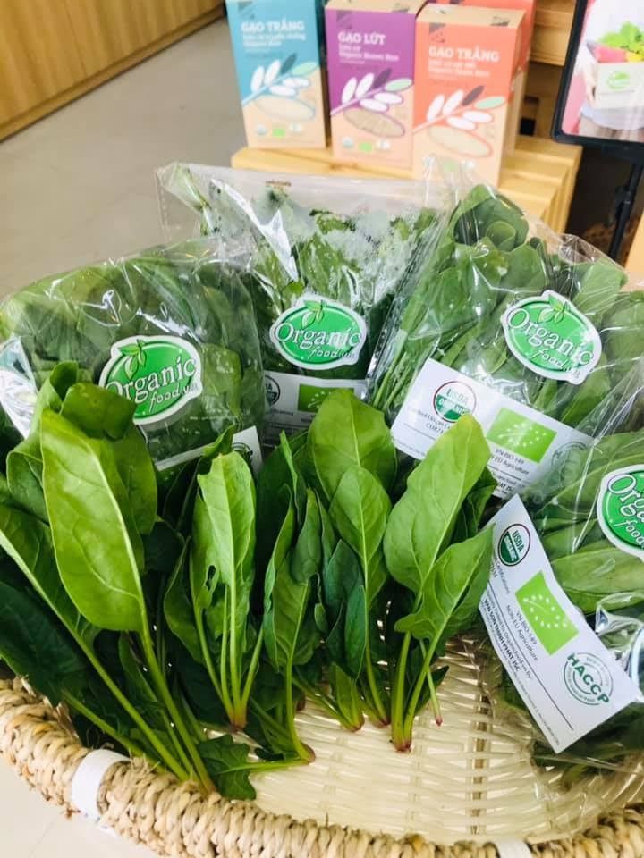Organicfood.vn