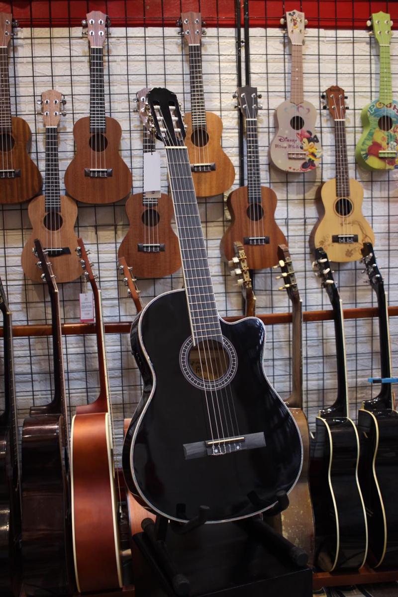 P-Plus: Guitar & Ukulele Kiến An - Hải Phòng