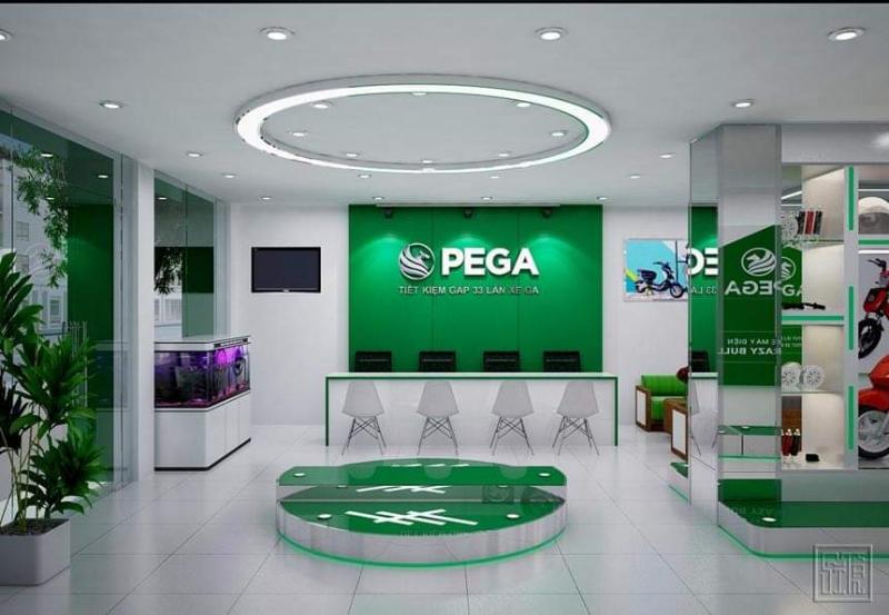xe đạp điện PEGA