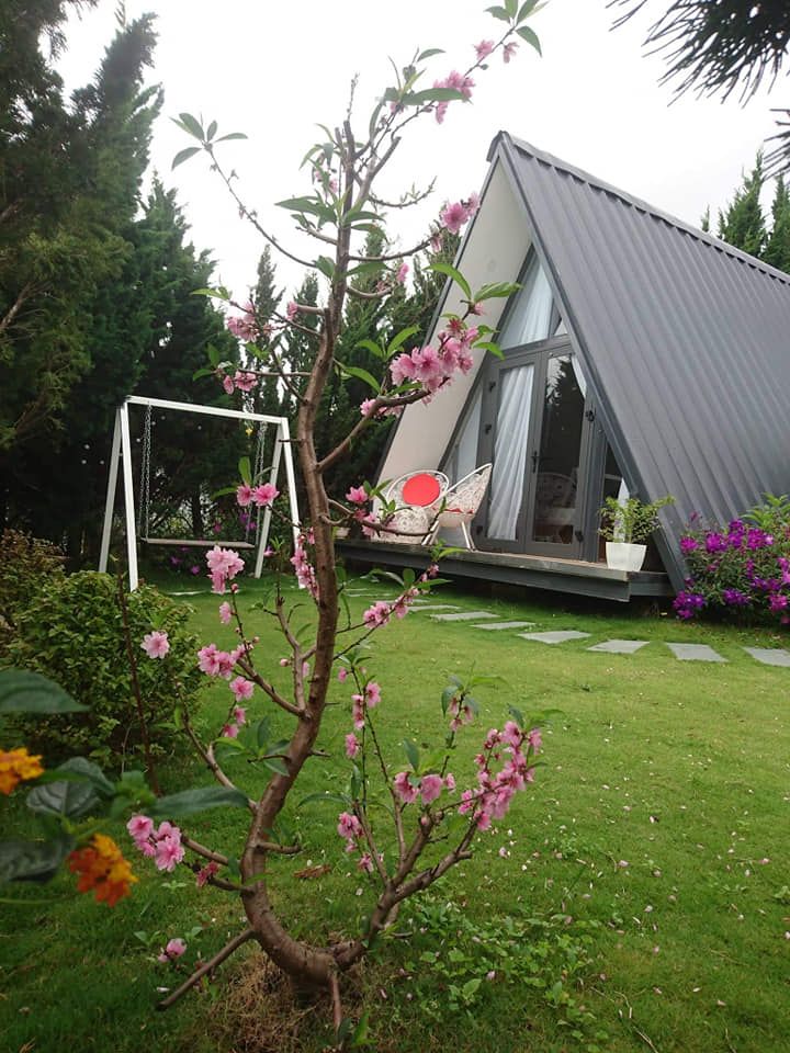 Perfect Homestay Đà Lạt
