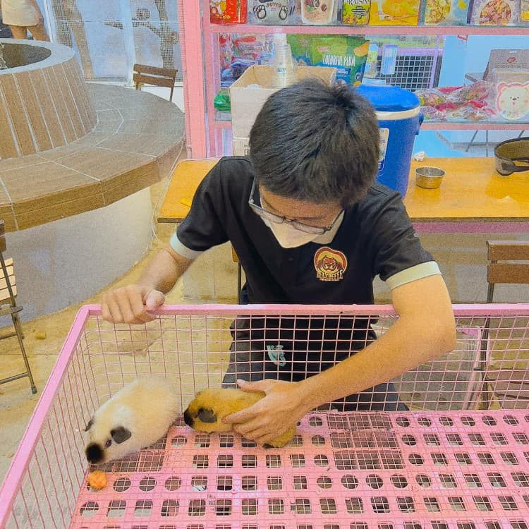 Pet Coffee Garden