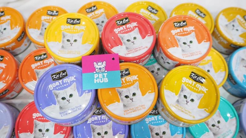 Pet Hub Tây Ninh