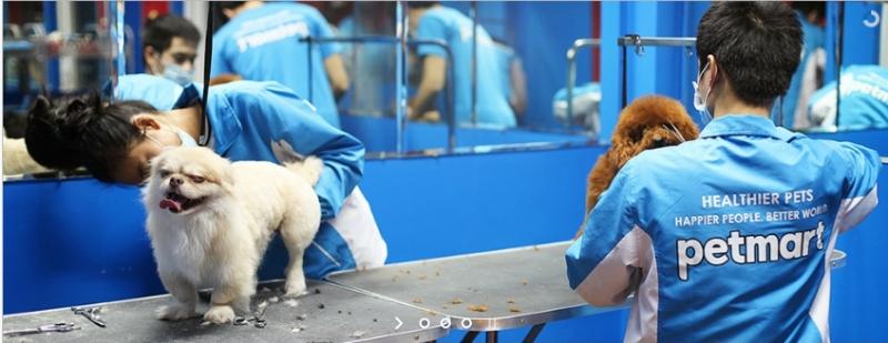 Dịch vụ chăm sóc thú cưng Pet Mart