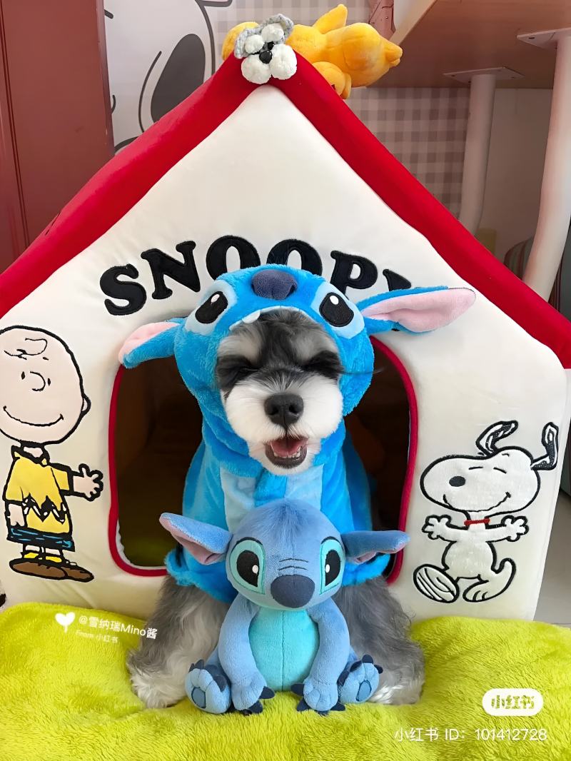 Pet Mart - Cửa Hàng Thú Cưng