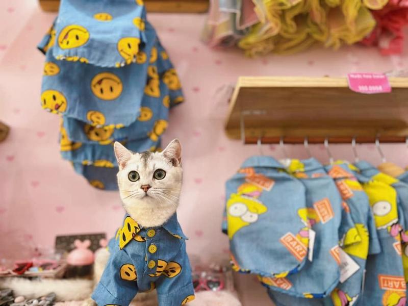 Pet Salon SAMMI