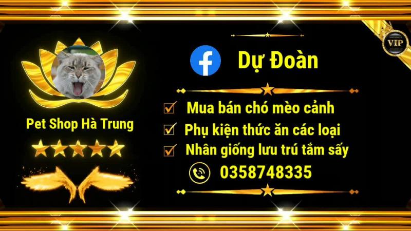 Pet Shop Hà Trung