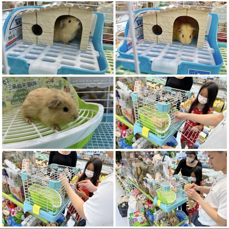 Pet shop Miền Đất Hứa