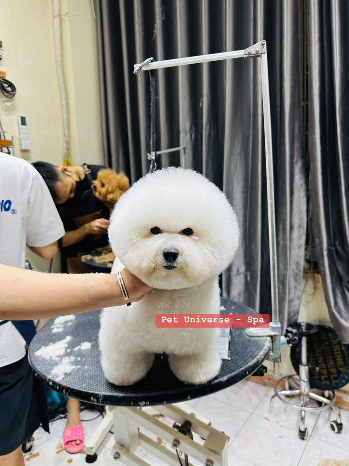 Pet Universe - Spa & Pet Shop