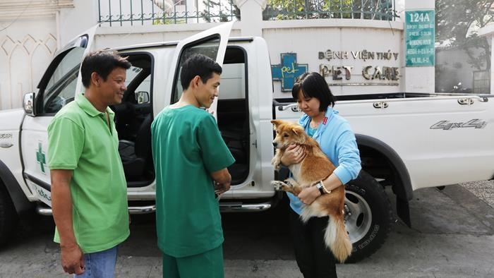 Bệnh viện thú y Petcare