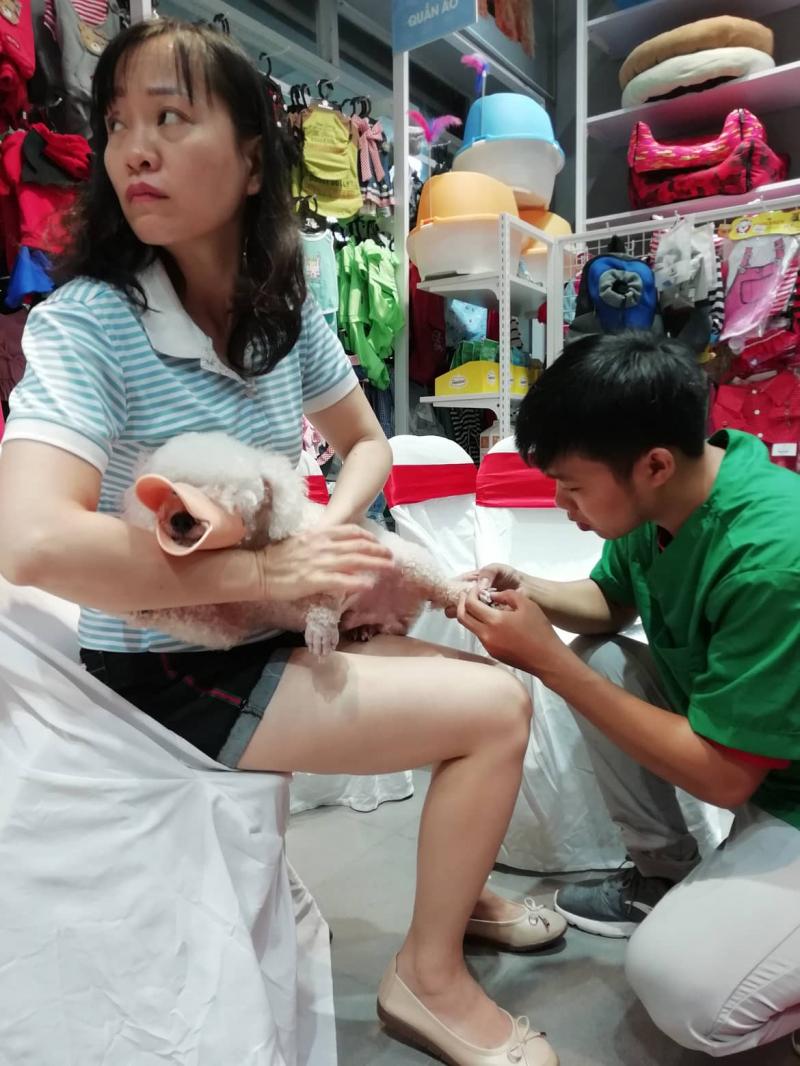 Dịch vụ chăm sóc thú cưng tại PetCity