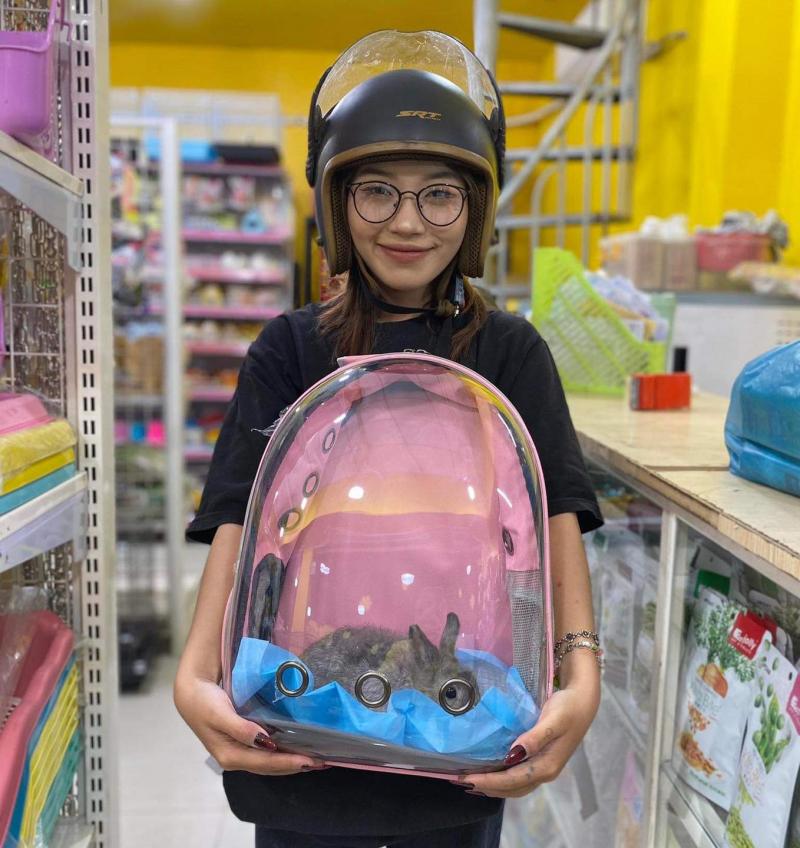 PetXinh.net - Nhím kiểng, Hamster, Thỏ, Sóc