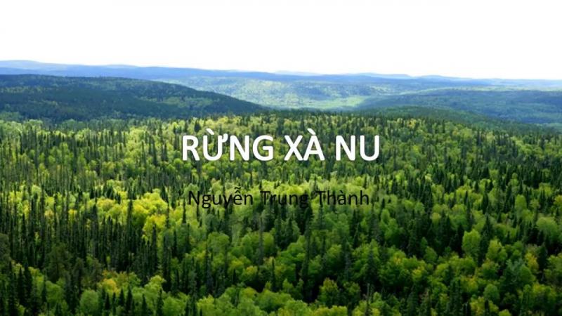 Mở bài và kết bài mẫu số 4