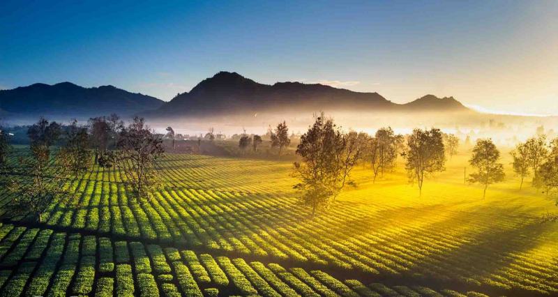 Mở bài và kết bài mẫu số 2
