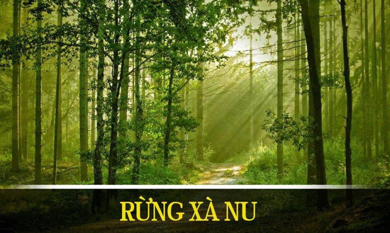 Mở bài và kết bài mẫu số 6