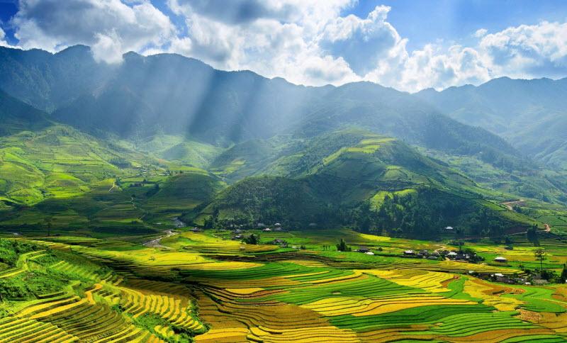 Bài tham khảo số 2
