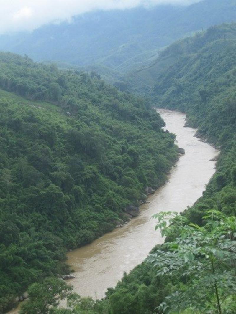 Bài tham khảo số 6