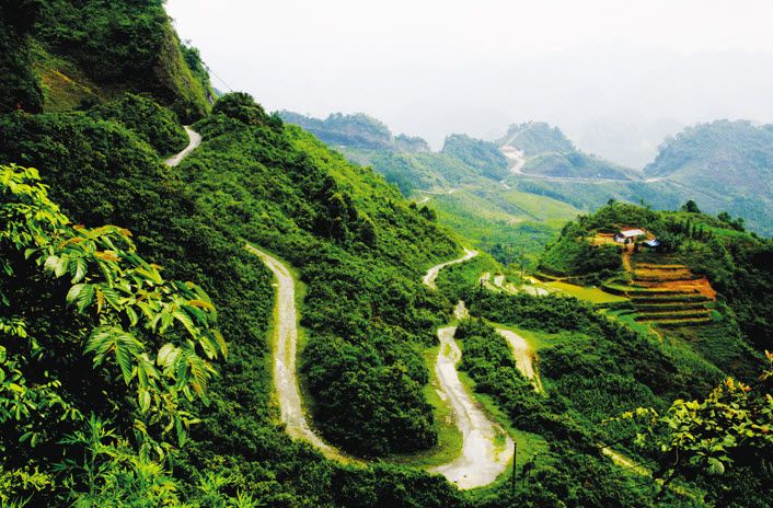 Bài tham khảo số 9