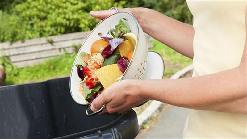 Phí phạm thức ăn trả nghiệp chết đói