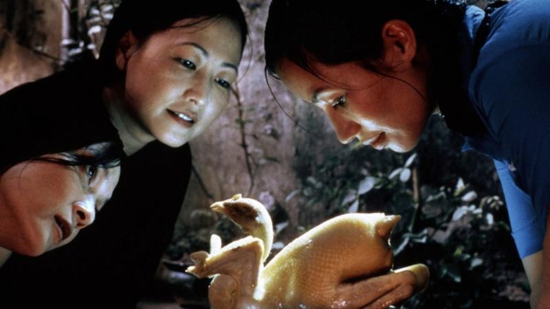 Phim Mùa hè chiếu thẳng đứng
