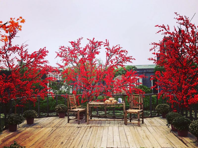 Phim trường ảnh Wonderland
