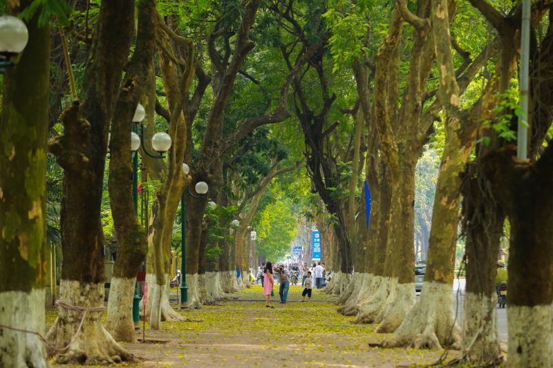 Đường Hoàng Diệu