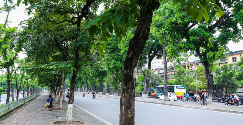 Phố Kim Mã