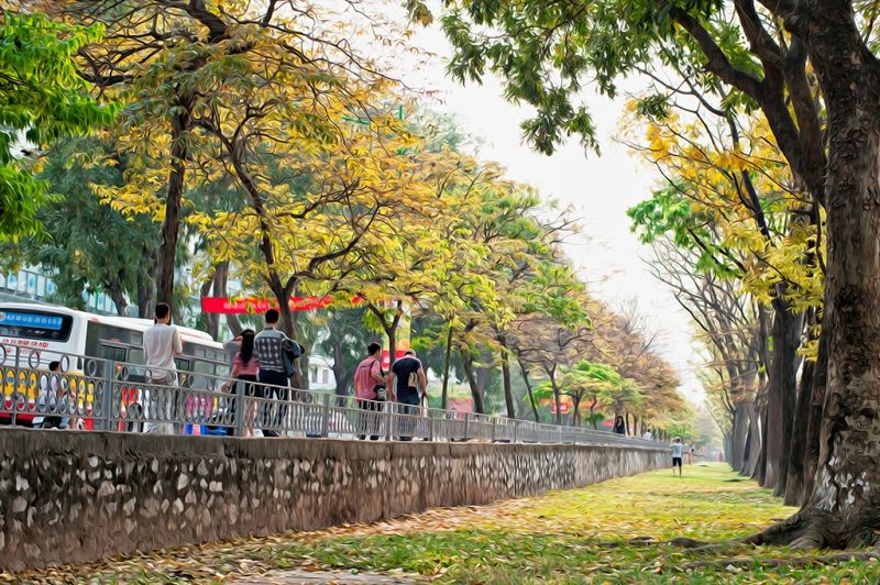 Phố Kim Mã là địa điểm yêu thích để chụp ảnh và đi bộ