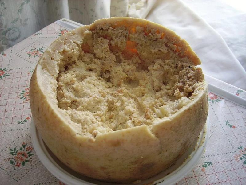 Pho mát có giòi Casu Marzu