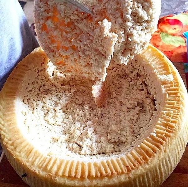 Pho mát có giòi Casu Marzu