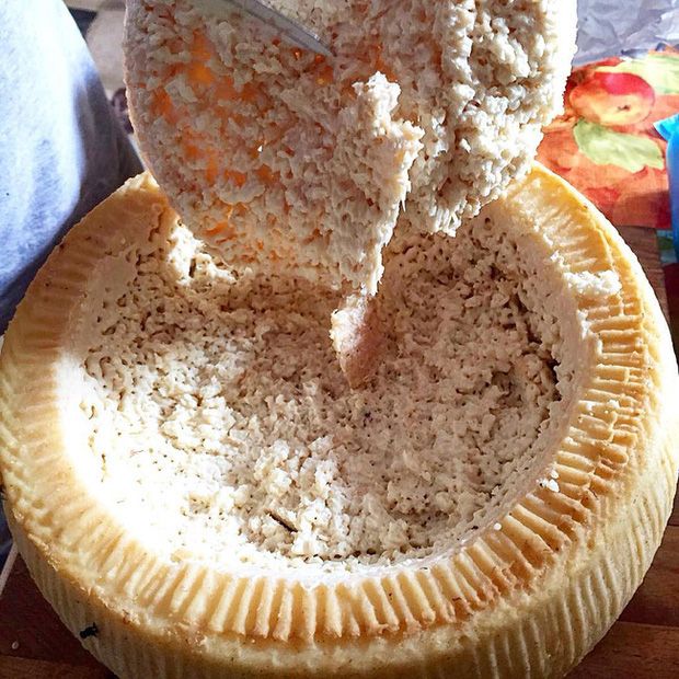 Pho mát giòi – Ý