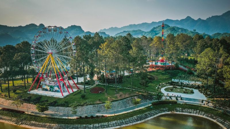 Rừng thông Bản Áng