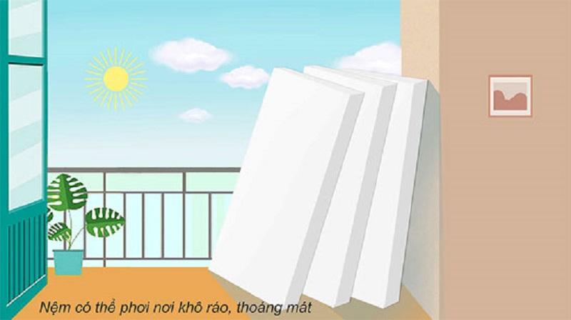 Phơi nệm nơi có ánh sáng mặt trời nhưng không phơi trực tiếp