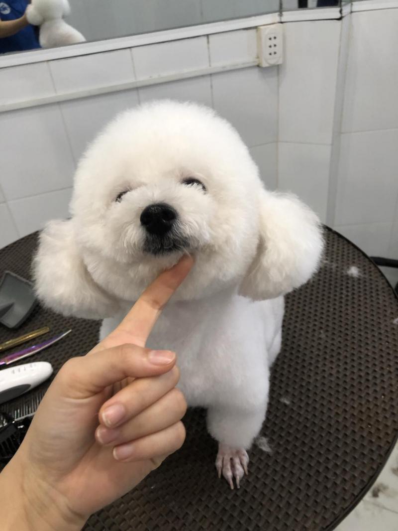 Phòng khám đa khoa thú y Tín Thơ