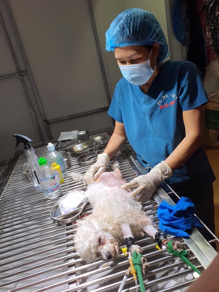 Phòng khám đa khoa thú y Tuấn Ngọc