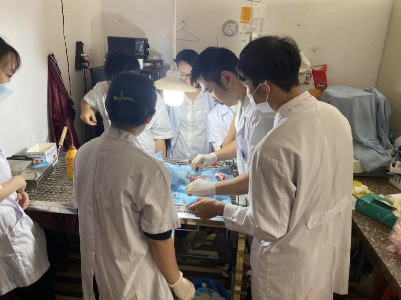Phòng khám Thú cưng Pleiku Pet