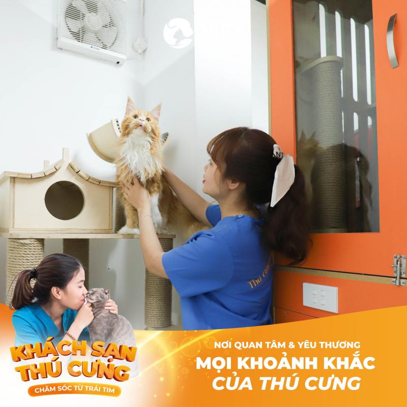 Phòng Khám Thú Y 2Vet