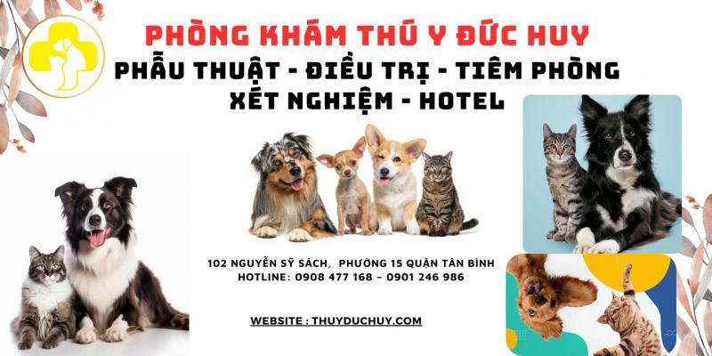 Phòng Khám Thú Y Đức Huy