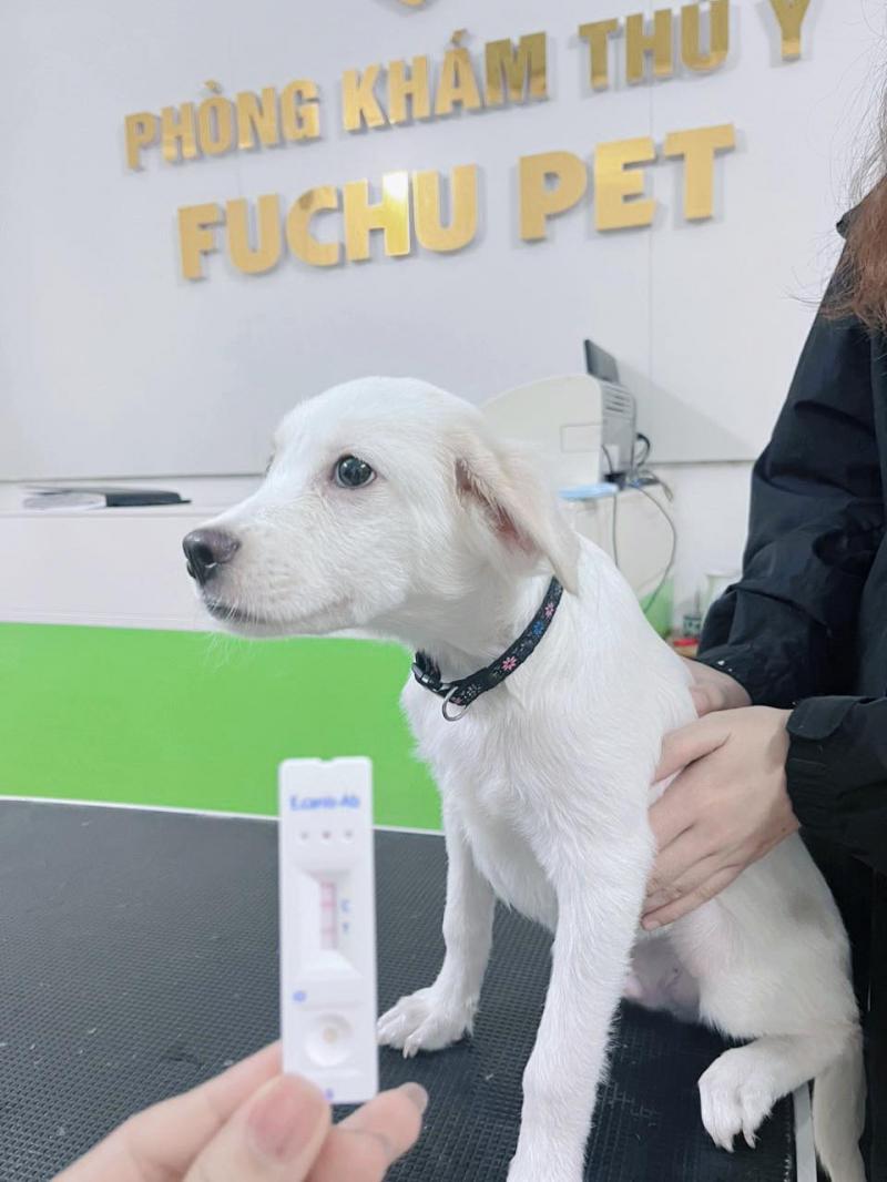 Phòng khám thú y Fuchu Pet Clinic