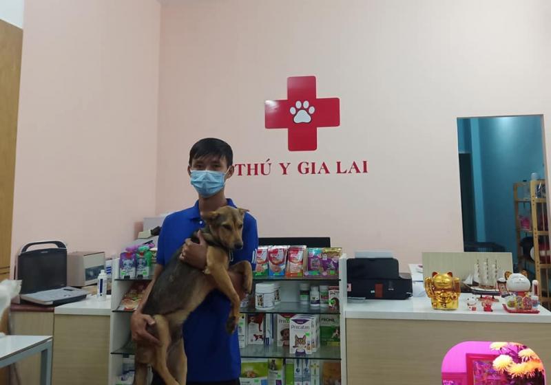 Phòng Khám Thú Y Gia Lai - Dương Cốc