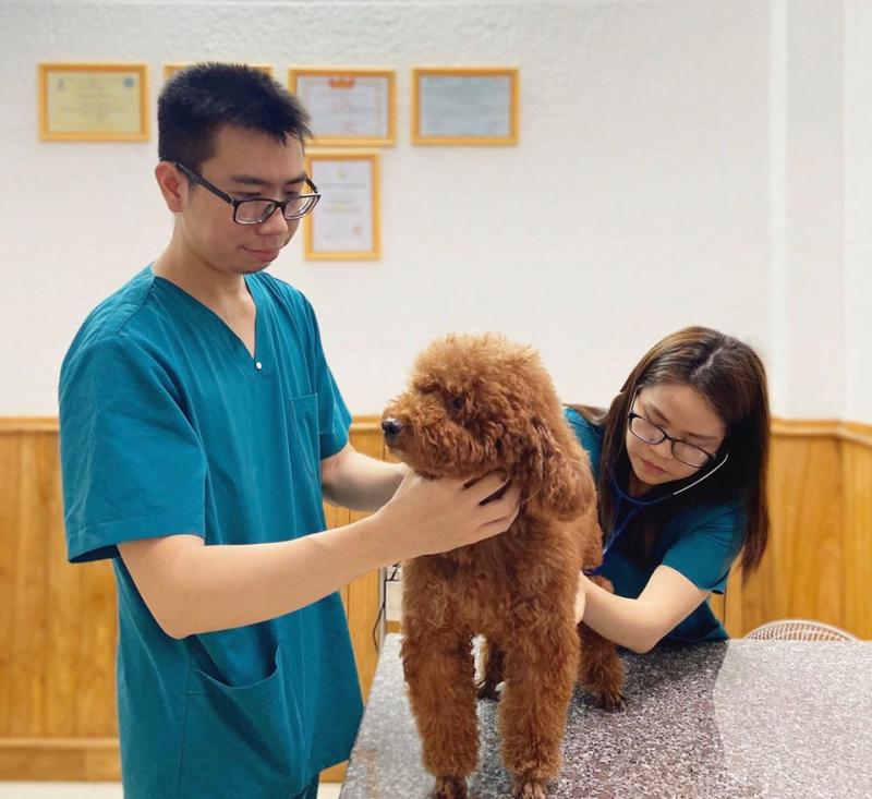Phòng Khám Thú Y HP Pet Tuy Hòa