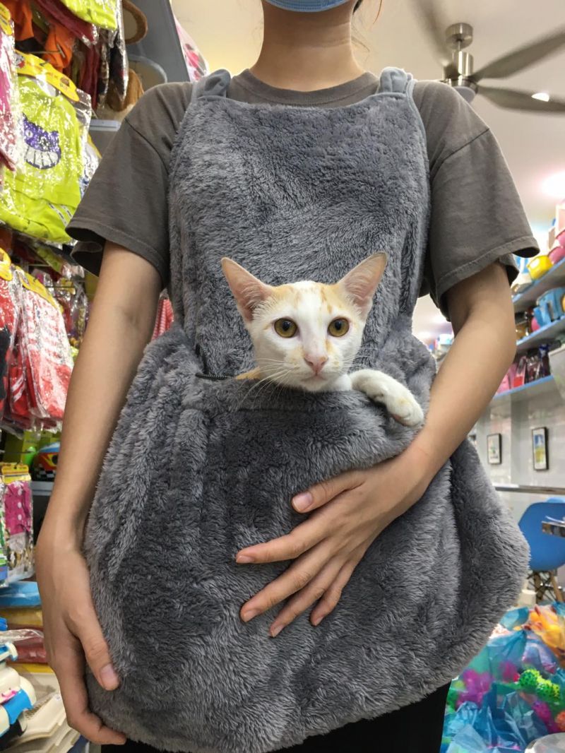 Phòng Khám Thú Y K9