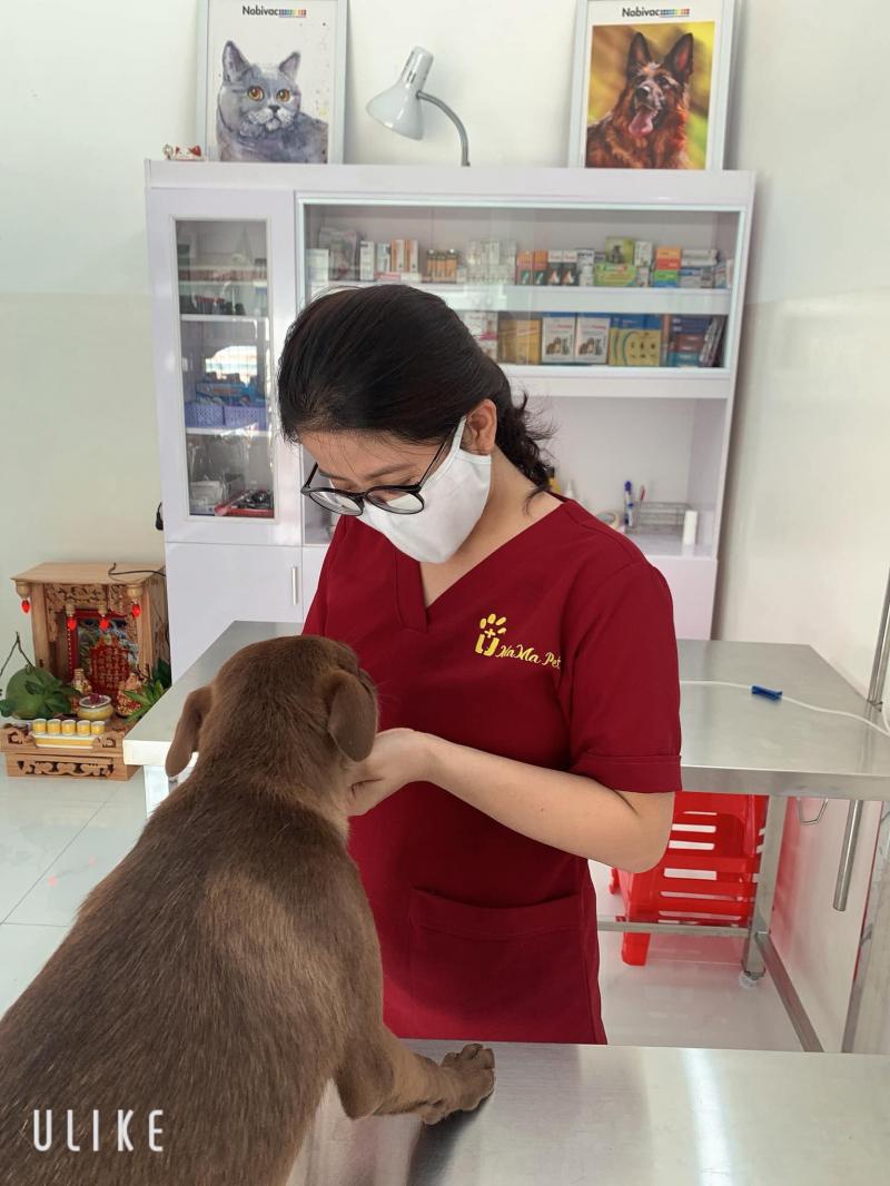 Phòng khám thú y MaMa Pet
