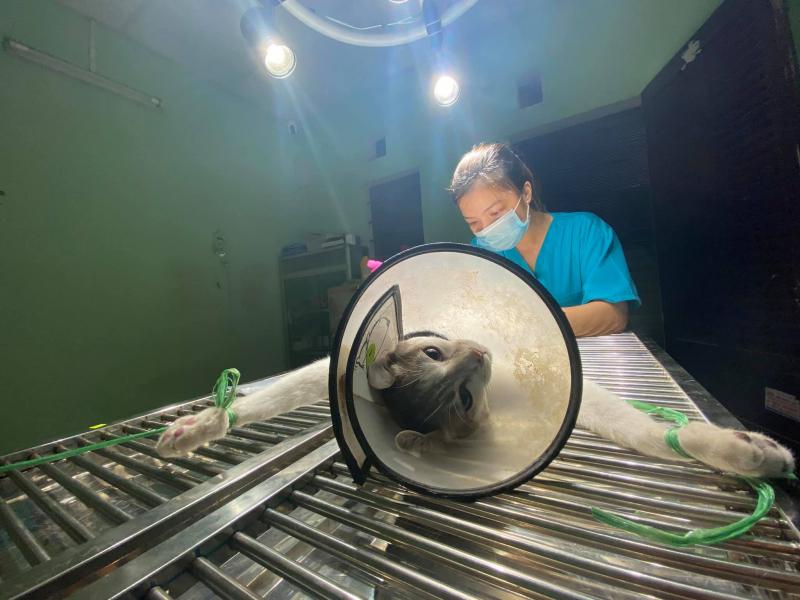 Phòng Khám Thú Y MB Vet Huế
