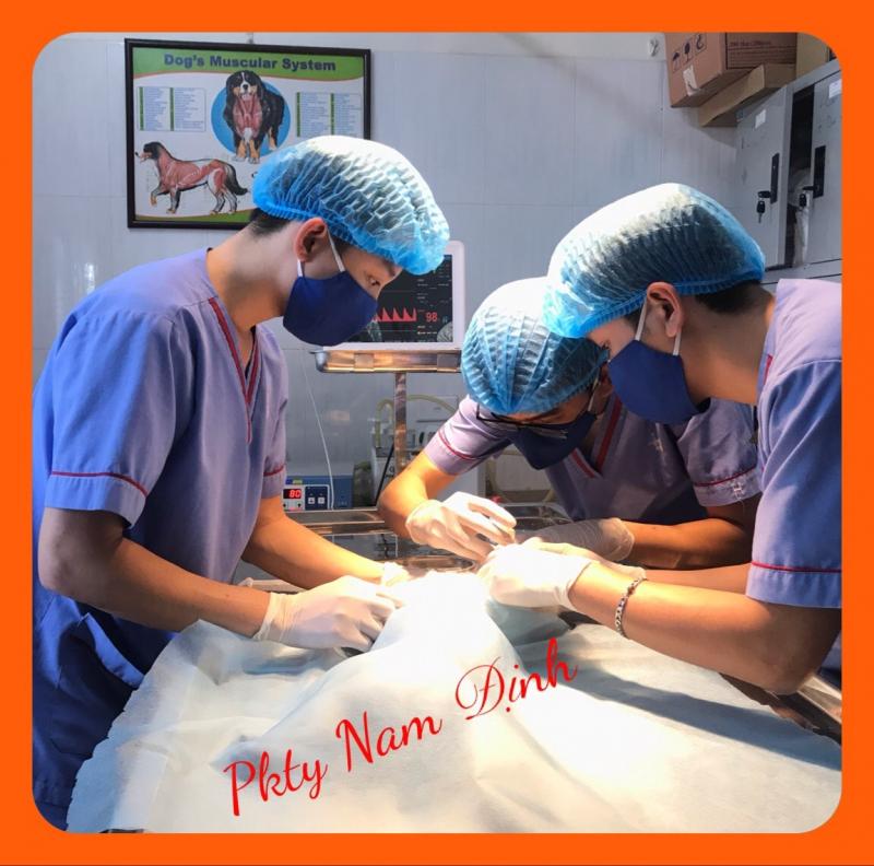 Phòng Khám Thú Y Nam Định